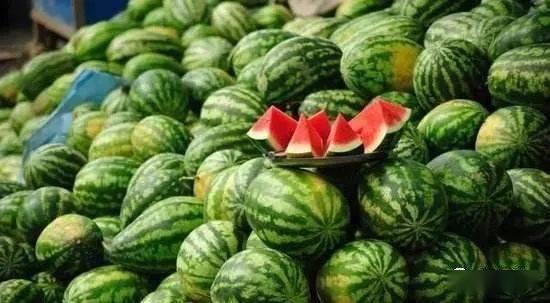 元谋今日叶瓜价格,今日行情一览