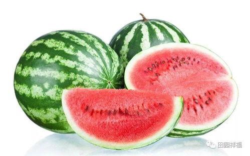 小吊瓜西瓜今日价