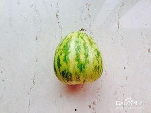 不吹不黑文明吃瓜,揭秘娱乐圈幕后真相