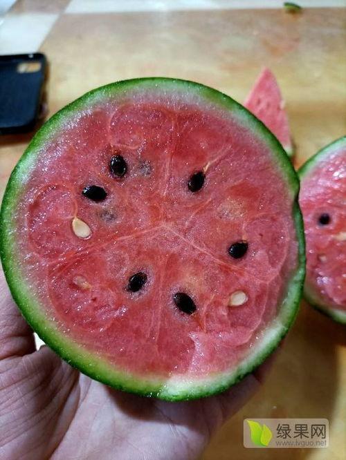 山东2k吊瓜今日价格,行情波动下的市场动态