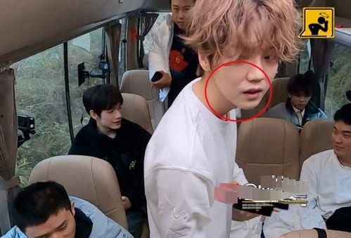 关晓彤吃黑瓜视频,趣味视频引网友热议