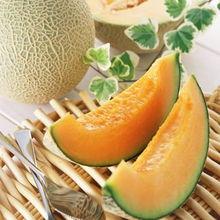 哈密瓜今日行情泡泡