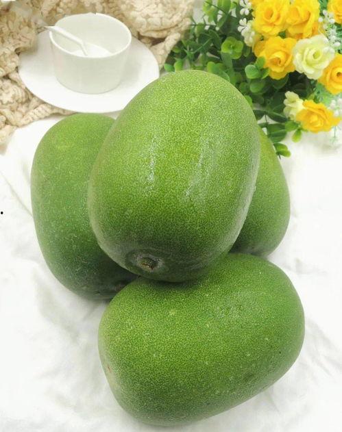 小圆瓜今日价格表最新图片