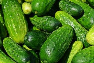 孕妇梦见摘黑瓜吃,孕妇梦见摘黑瓜吃的寓意与启示