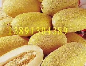 今日哈密瓜万邦批发价格,万邦市场行情一览”