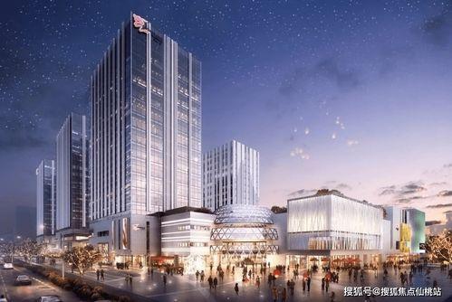 今日小吊瓜行情分析图最新,最新分析图揭示市场动态与趋势