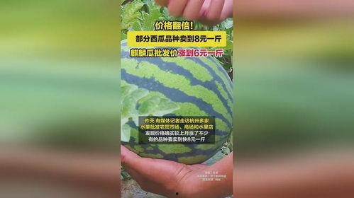 麒麟瓜多少钱一斤今日,一斤多少钱？