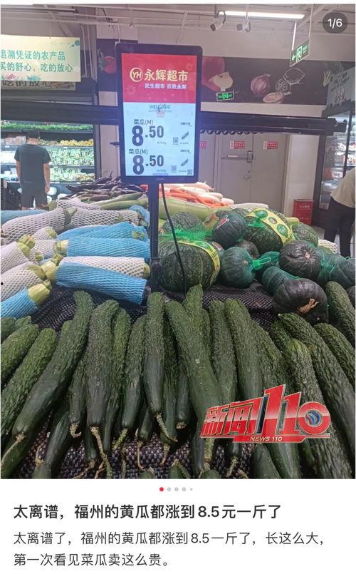 邹城今日瓜价最新消息