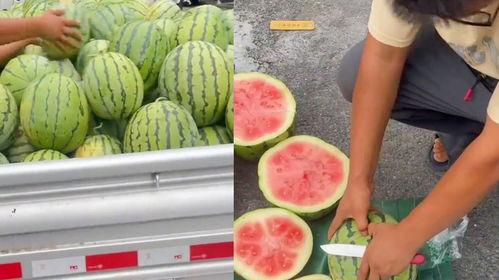 王婆今日不卖瓜了吗,背后原因引人猜测