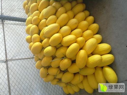 寿光哈密瓜今日价格,价格行情一览”