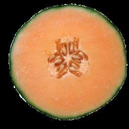 吃哈密瓜的女生有点黑,独特魅力