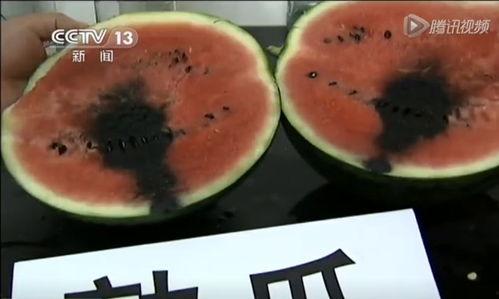 51吃瓜今日吃瓜视频,揭秘今日热门吃瓜视频背后的故事