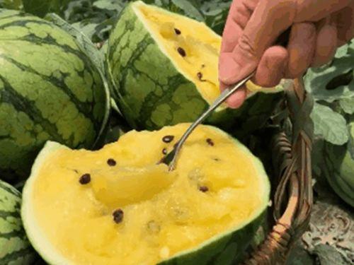 吃瓜黑料精品一区在线,独家爆料，热点事件深度解析