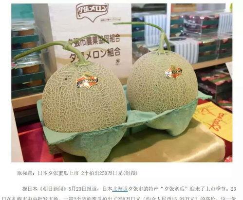 高碑店蜜瓜今日价格查询