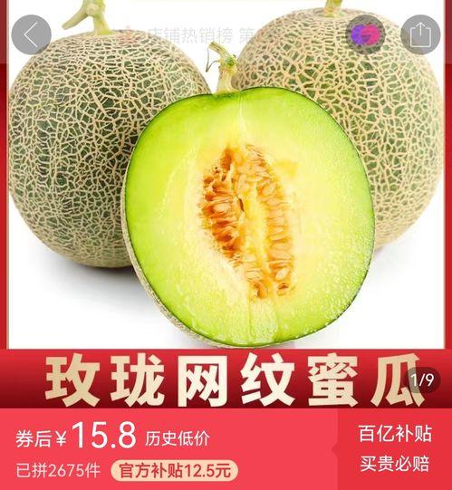 高碑店蜜瓜今日价格查询