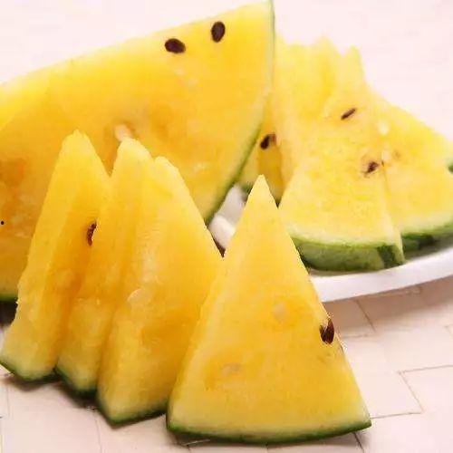 今日吃瓜最佳推荐是什么瓜,揭秘今日最佳推荐瓜种