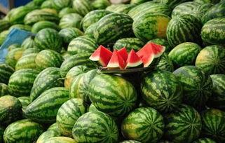 汤阴瓜娄根今日全国价格