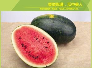 最新黑瓜吃料,揭秘最新美食潮流与网红美食背后的故事