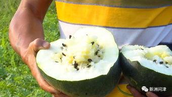 吃瓜黑产事件真相是什么