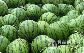 今日肇庆梢瓜多少钱