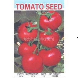 寿光小吊瓜今日行情,丰收喜讯，价格稳中有升”