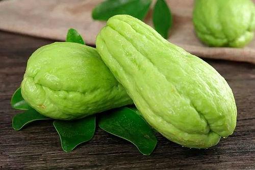 吊瓜价格今日价表,今日吊瓜价格行情概述