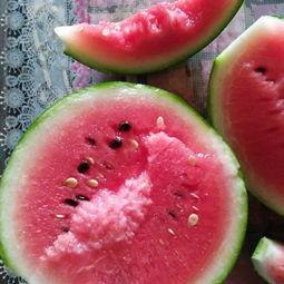 吊瓜价格今日价表,今日吊瓜价格行情概述