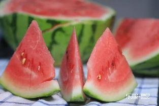 黑瓜籽的瓜怎么吃,解锁美味新体验